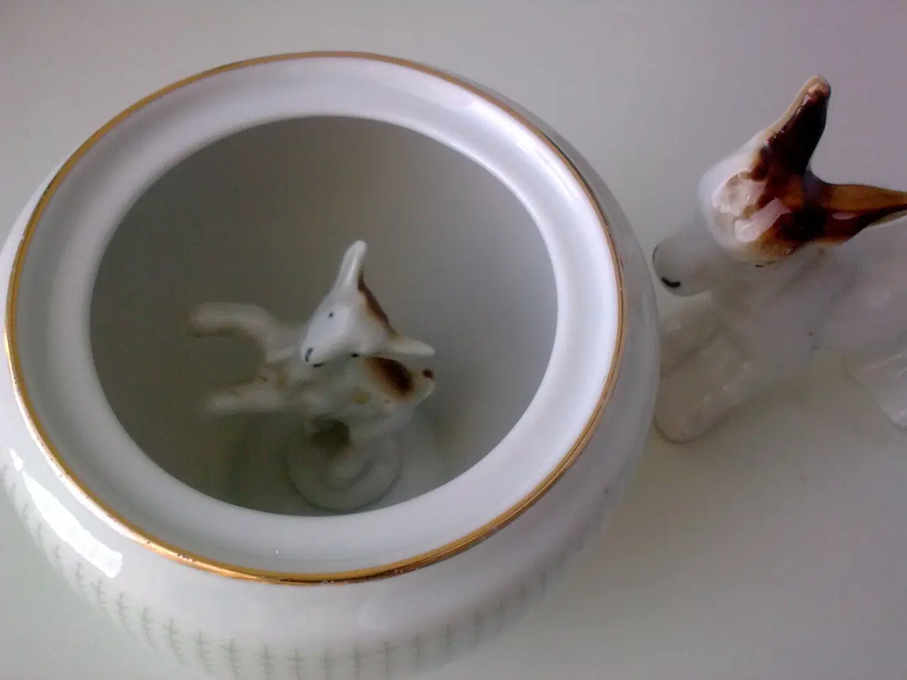 Billede 12 - Ragdoll misinformation m Birdie Nam Nam