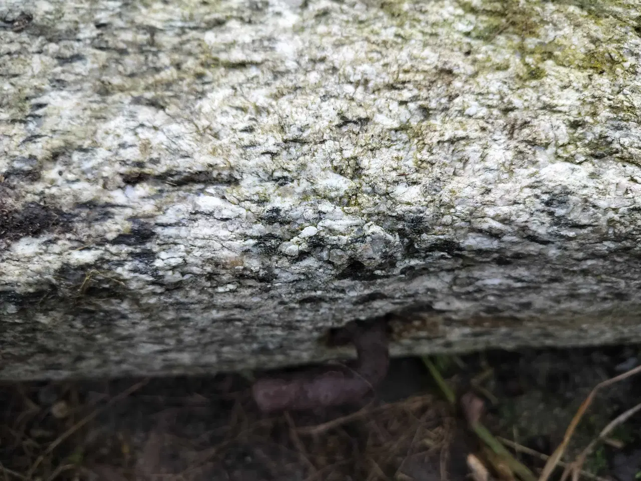 Billede 3 - Granit søjler 2 stk med kroge i