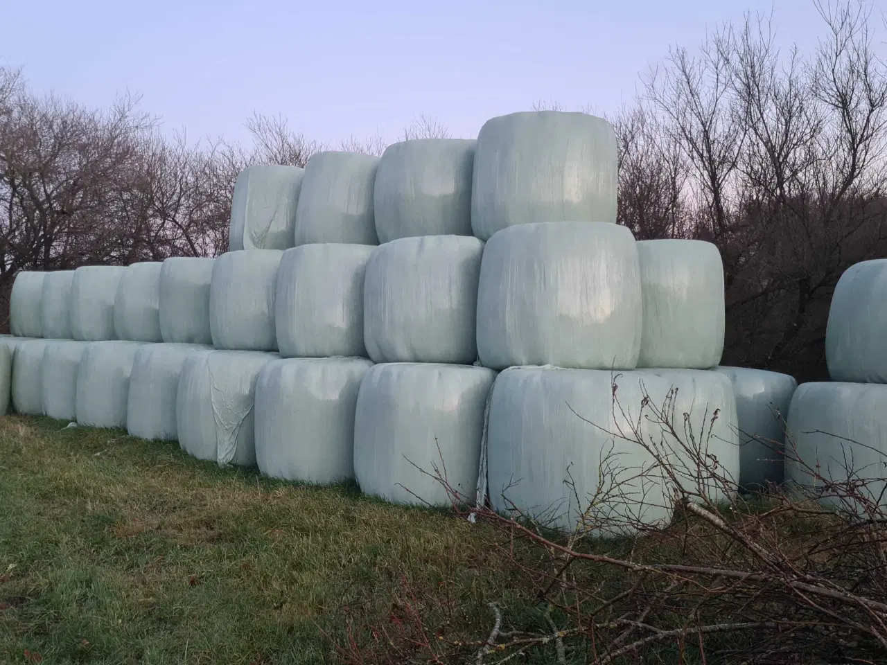 Billede 1 - Wrap rundballer til køer