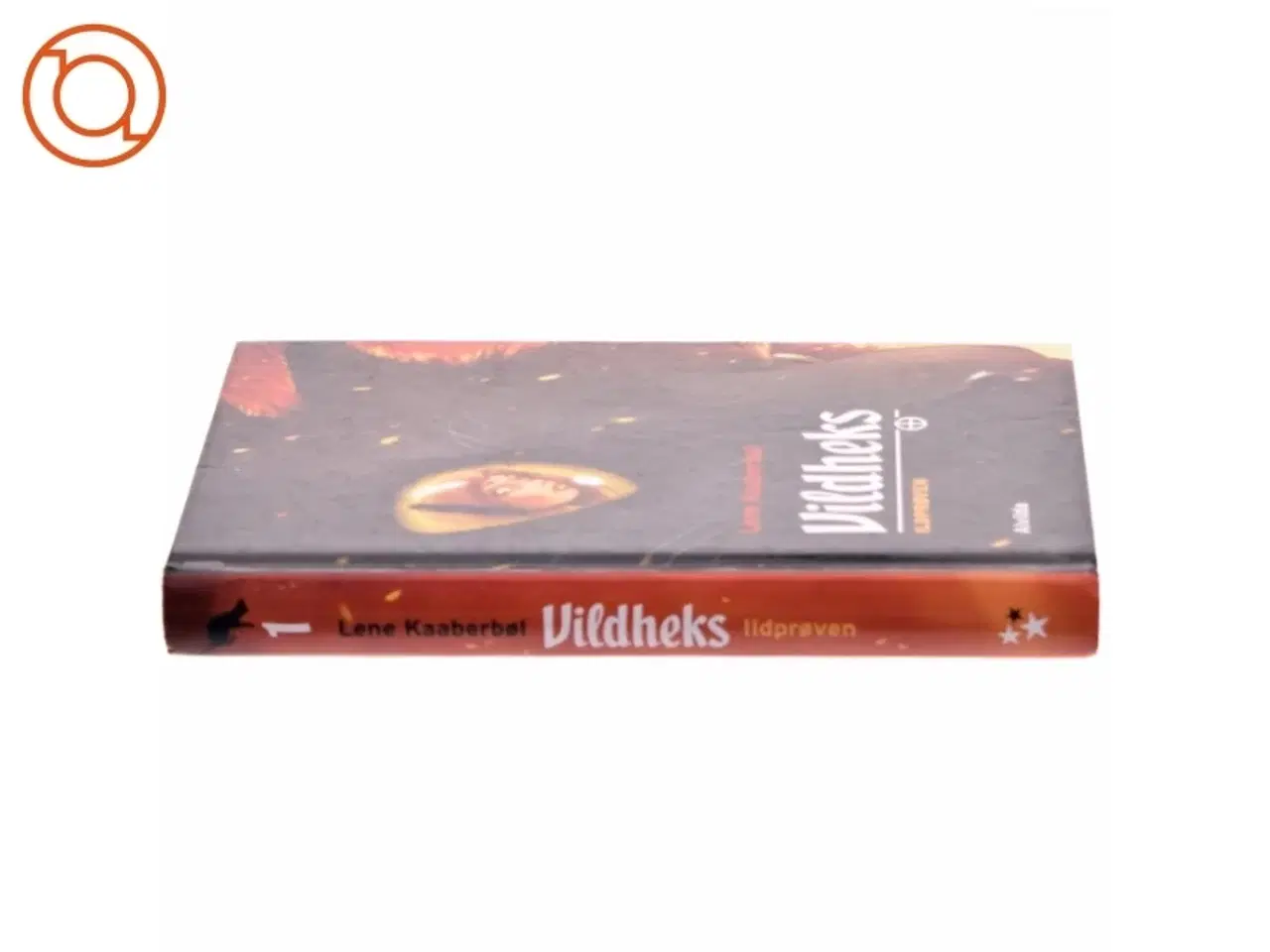 Billede 2 - Vildheks. Bind 1, Ildprøven af Lene Kaaberbøl (Bog)