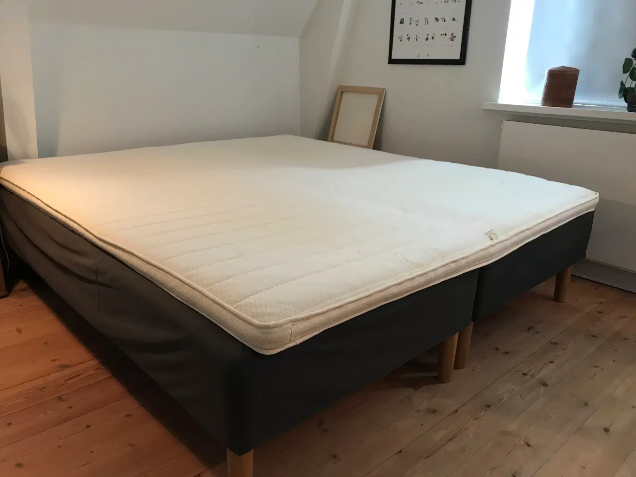 Billede 1 - Dobbelt seng med topmadras 