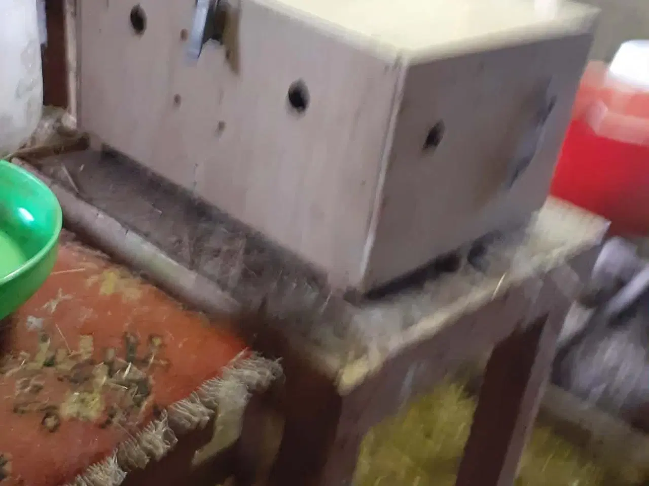 Billede 3 - vandtrug-due reder,udstillings byr