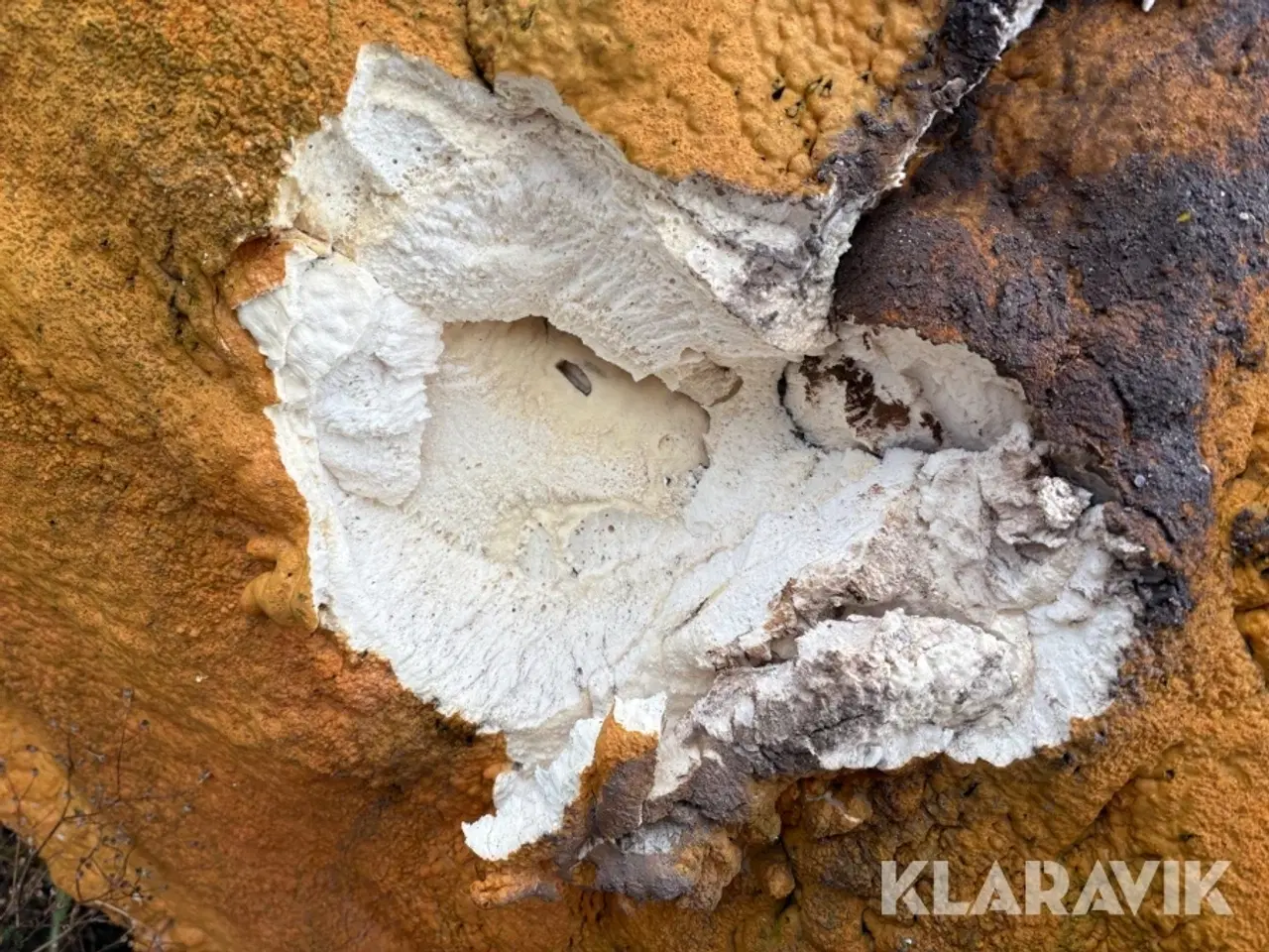 Billede 7 - Akkumuleringstank