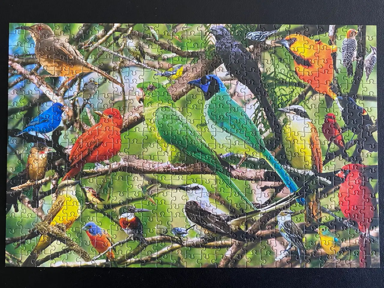 Billede 2 - Exotic Birds 500 brikker