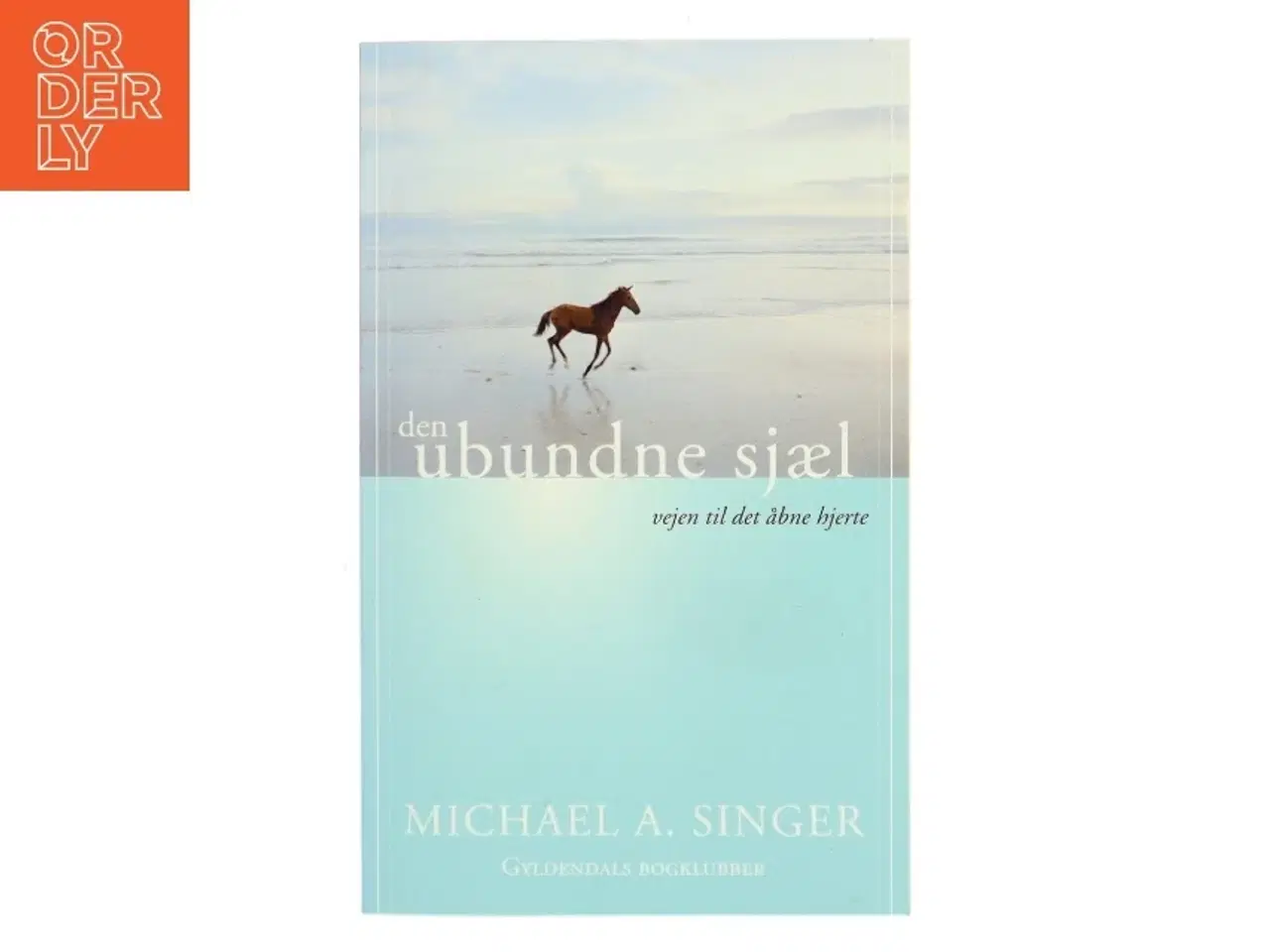 Billede 1 - Den ubundne sjæl : vejen til det åbne hjerte af Michael A. Singer (Bog)