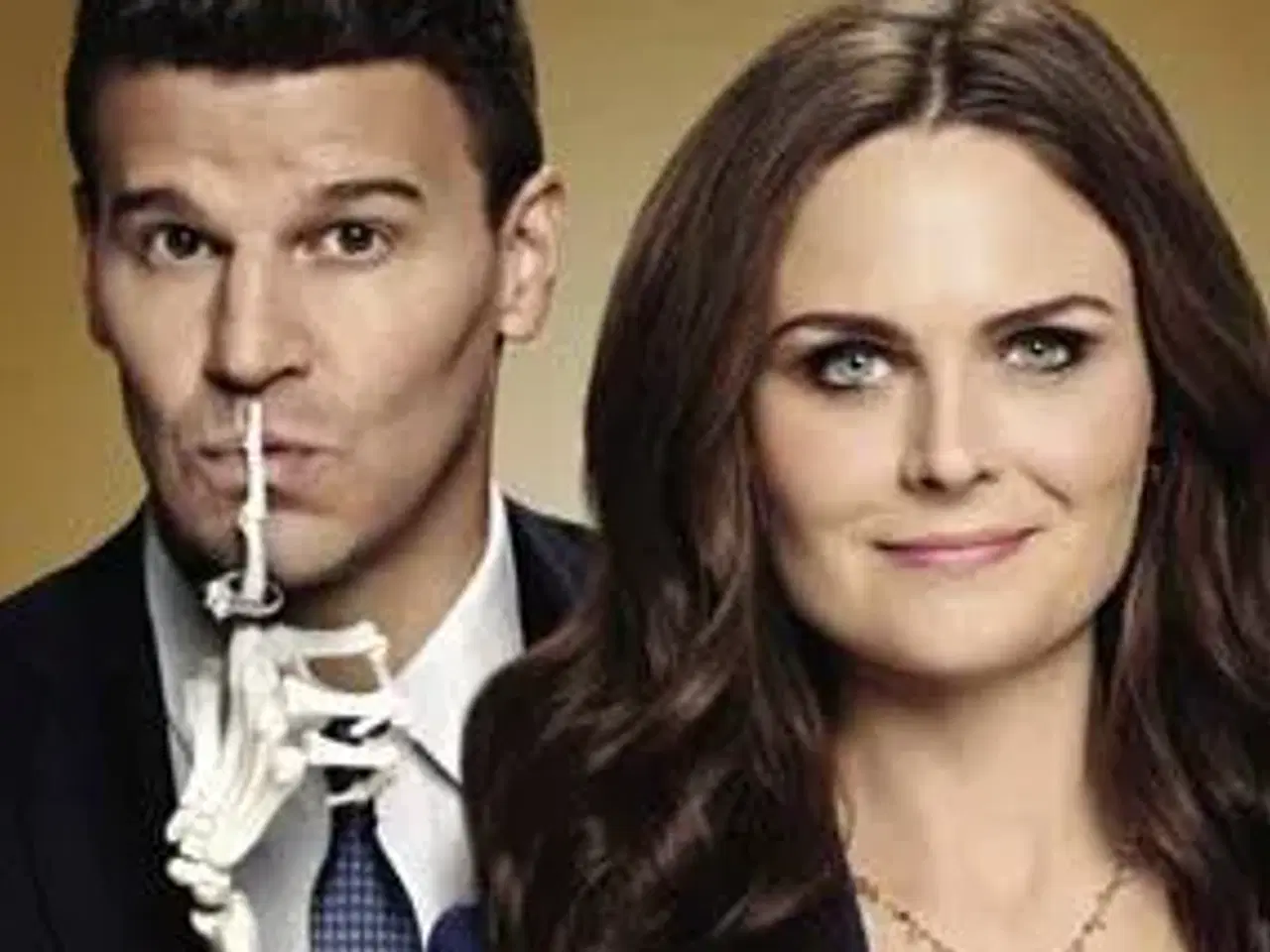 Billede 1 - TV SERIE ; BONES komplet sæson 9