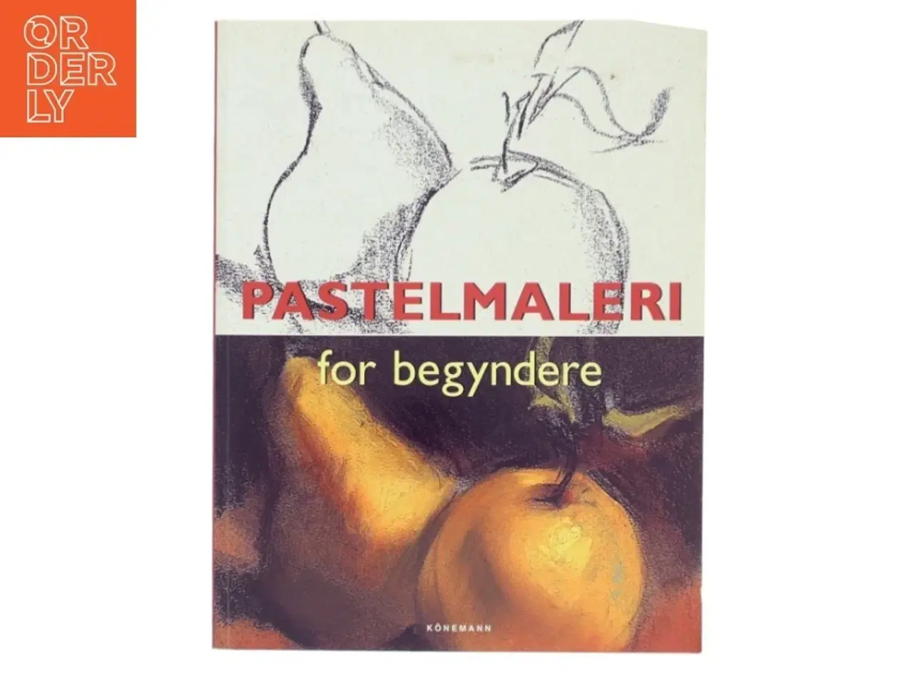 Billede 1 - Pastel for begyndere af Ram&#243;n de Jes&#250;s Rodr&#237;guez Rodr&#237;guez (Bog)