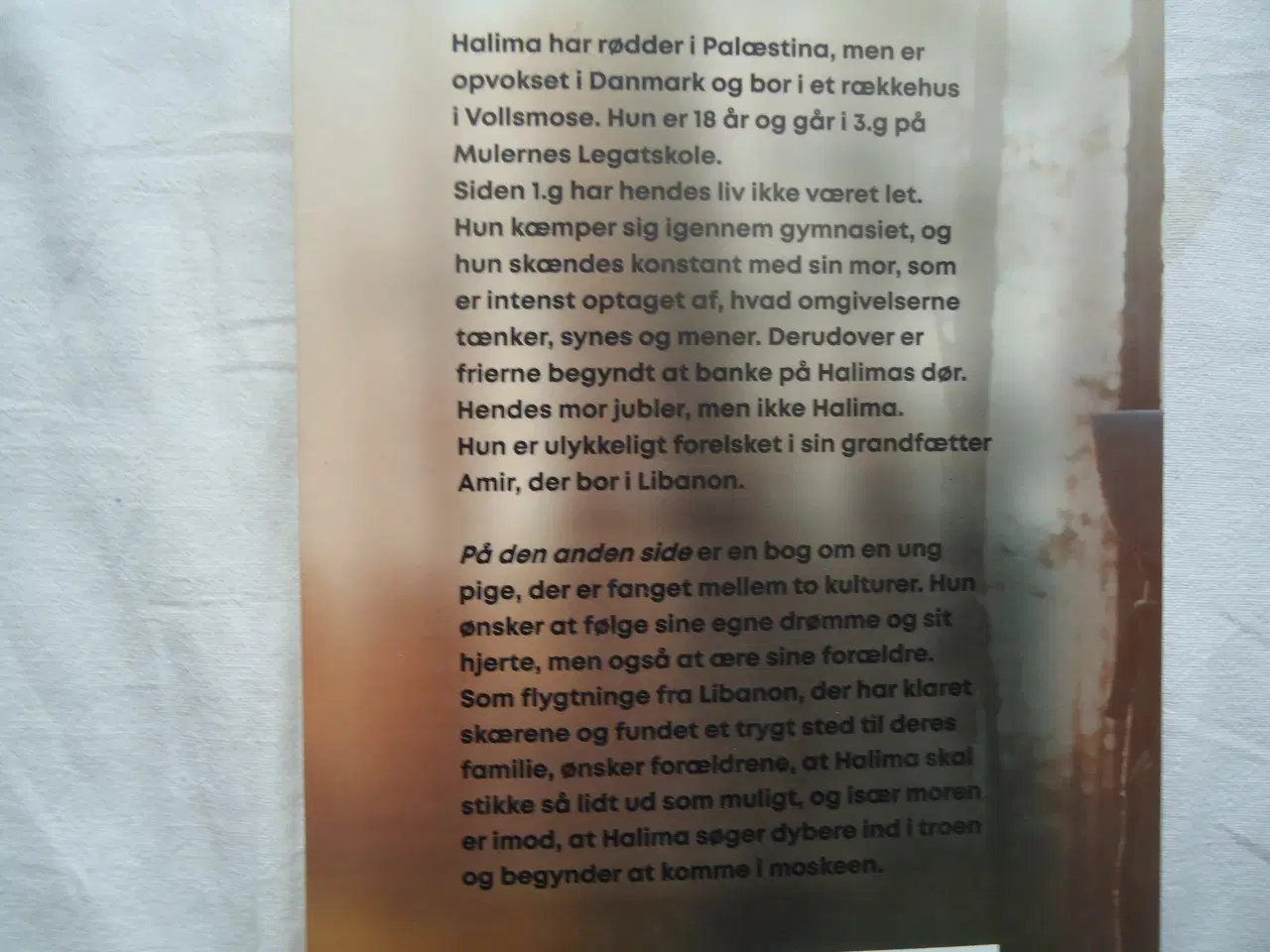 Billede 3 - PALÆSTINA - Halima []