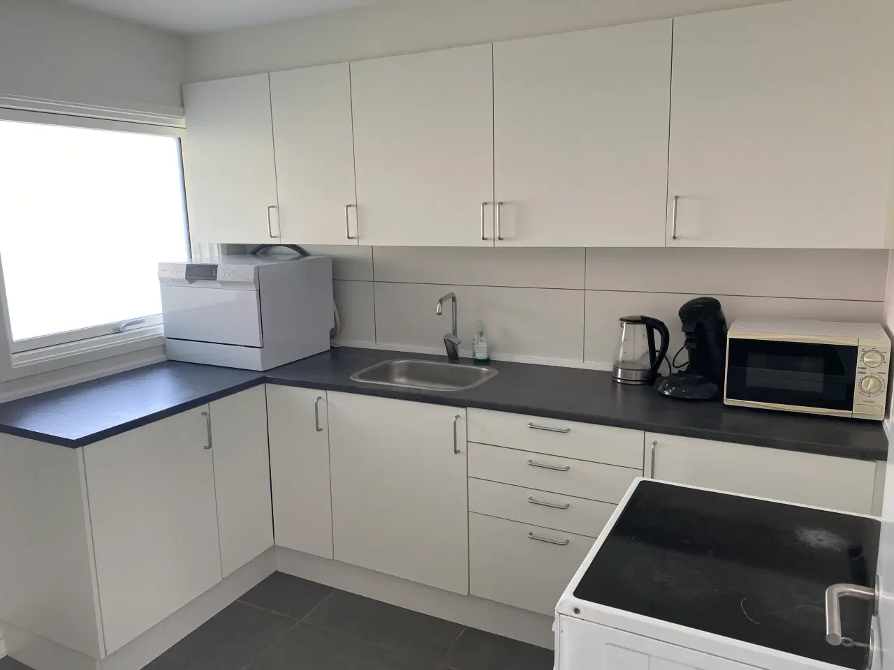 Billede 7 - Odenses hyggeligste kolonihave til salg 🌿