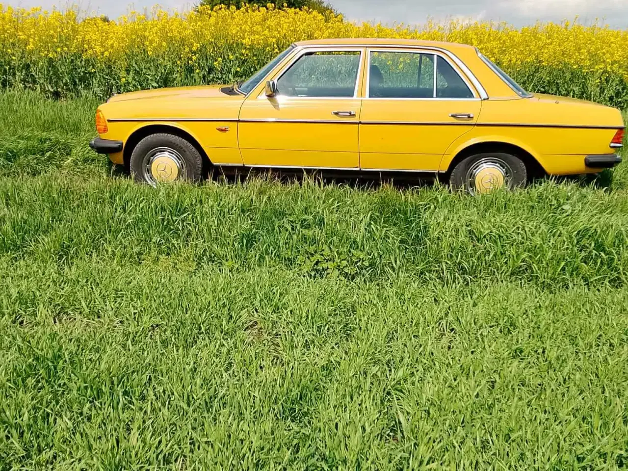 Billede 2 - Mercedes benz 123 2,0 benzin