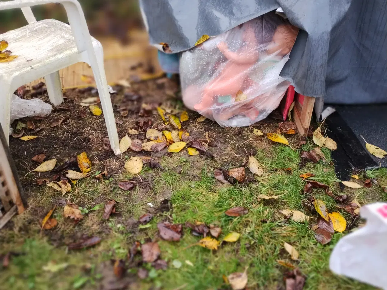 Billede 3 - Gratis, kom og hent