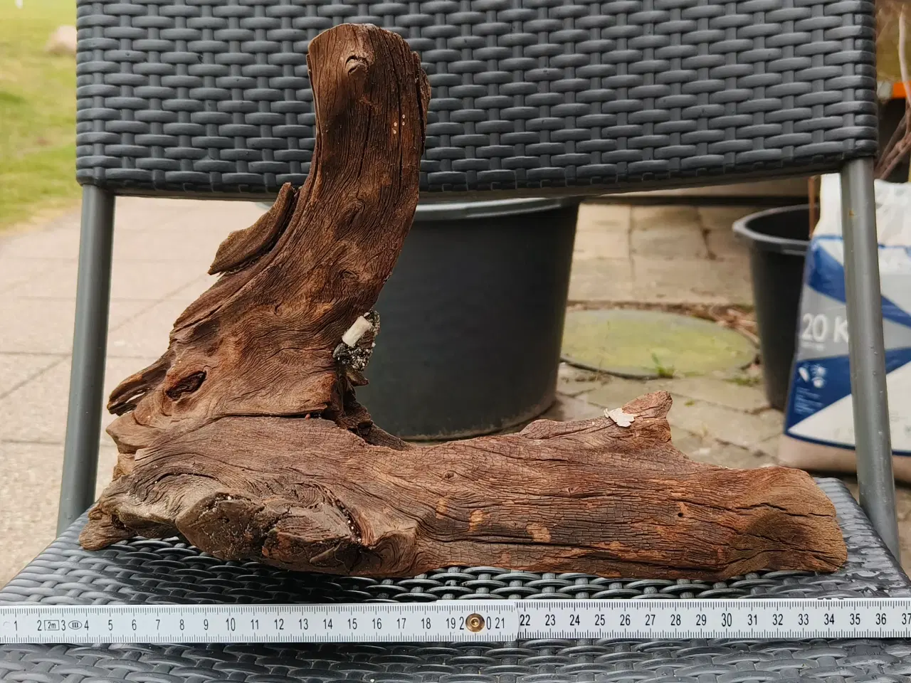 Billede 4 - Flotte trærødder sælges