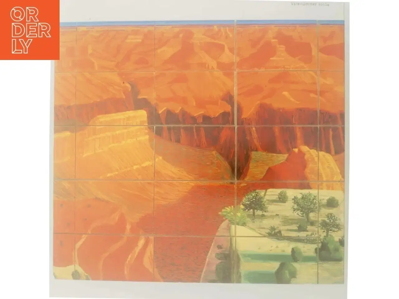 Billede 3 - David Hockney : maleri 1960-2000 af David Hockney (Bog)