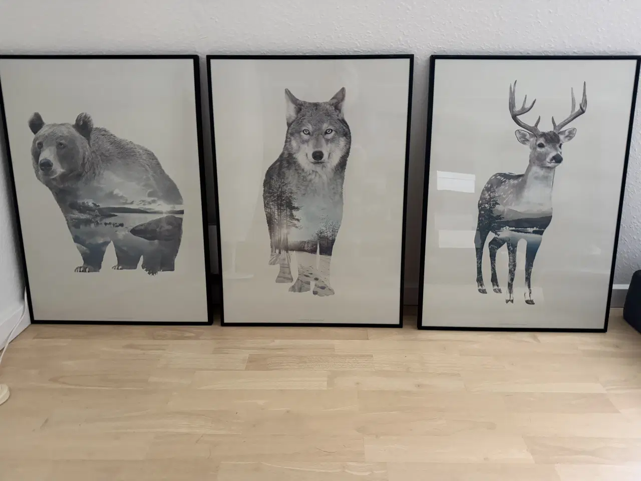 Billede 3 - 3 x sort/hvid væg billeder