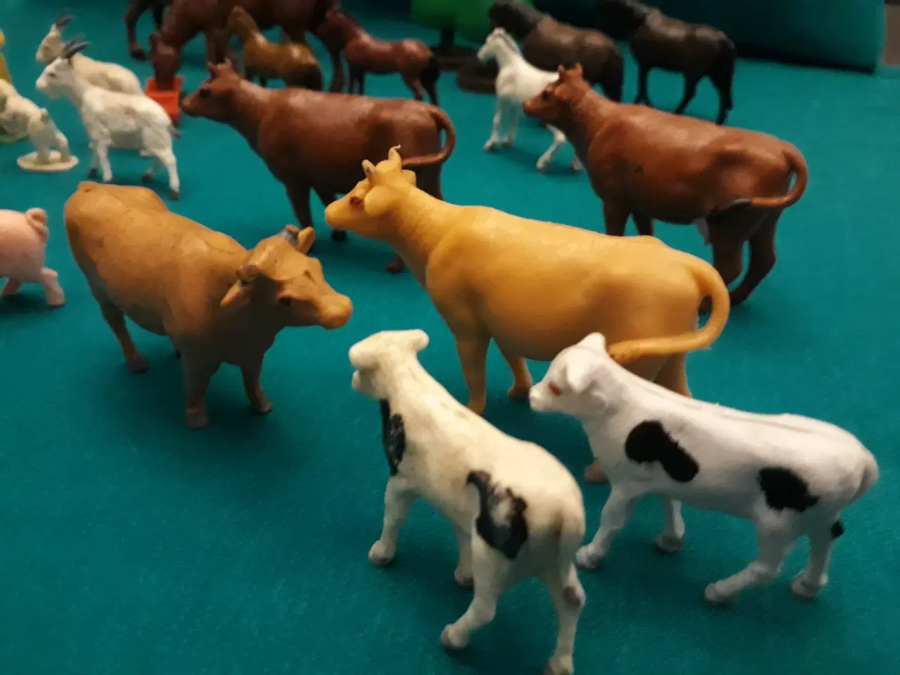 Billede 6 - Reisler Bondegård med Dyr 