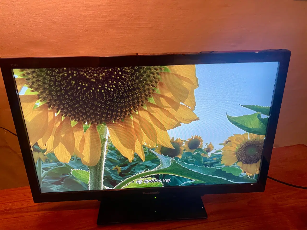 Billede 2 - Panasonic 32 tommer TV på fod