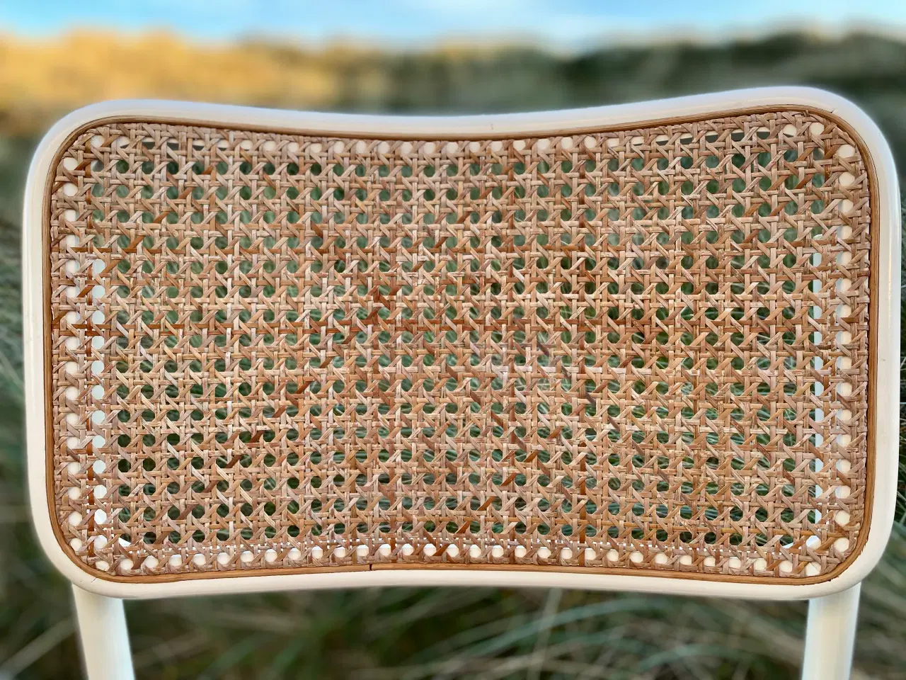 Billede 3 - Frisvingerstole med fransk flet