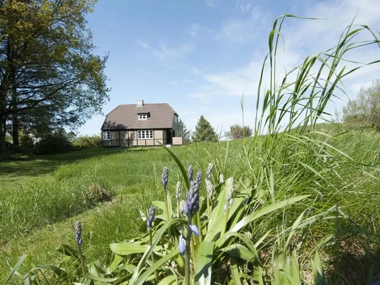 Billede 3 - Sk�nt sommerhus h�jtliggende i rolige og natursk�nne omgivelser - n�r L�nstrup strand og by