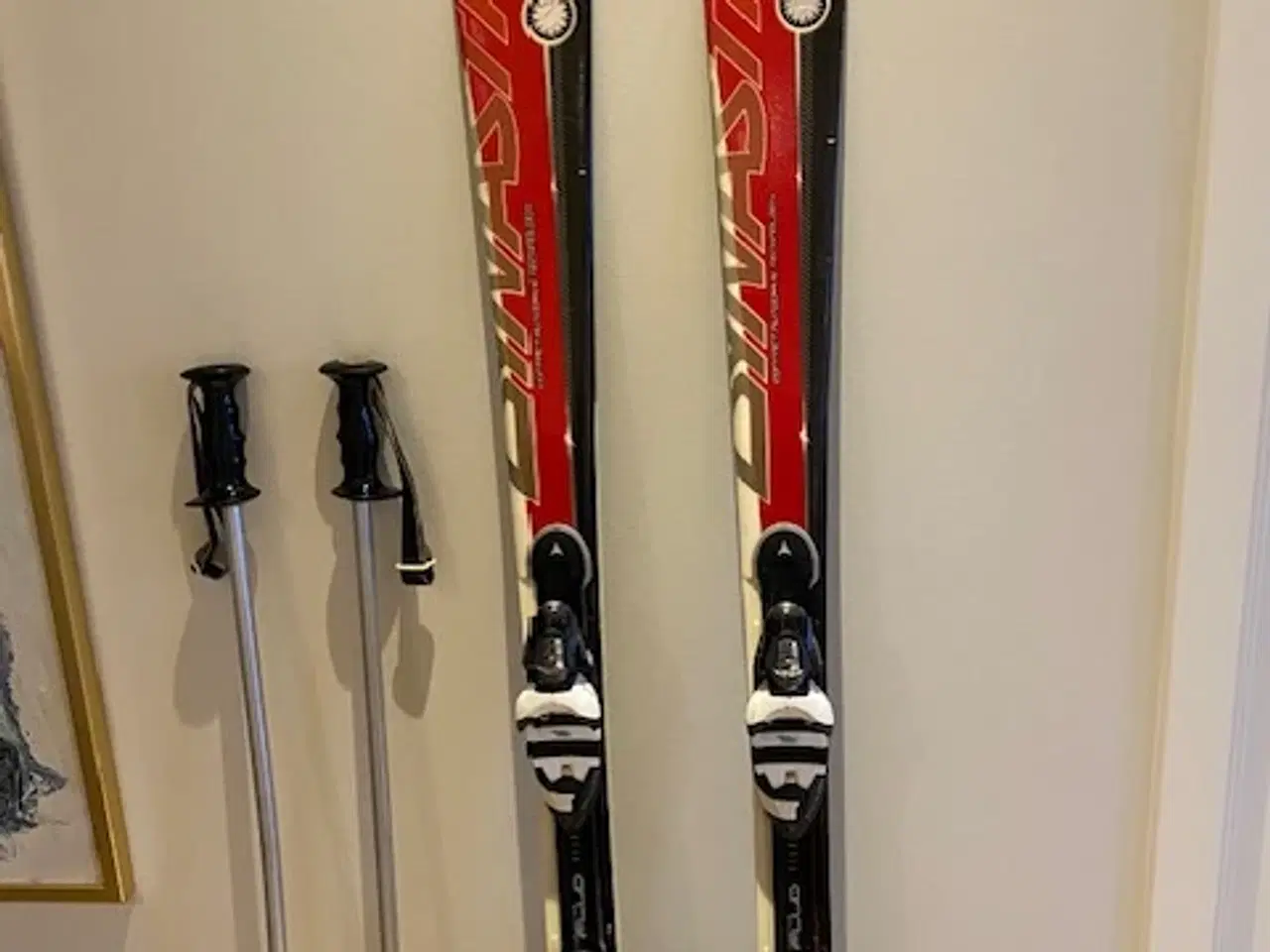 Billede 1 - Dynastar carvingski 165cm