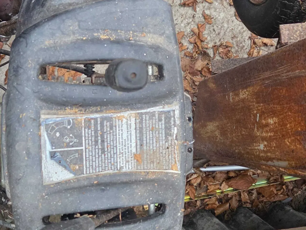 Billede 4 - Snedlynge