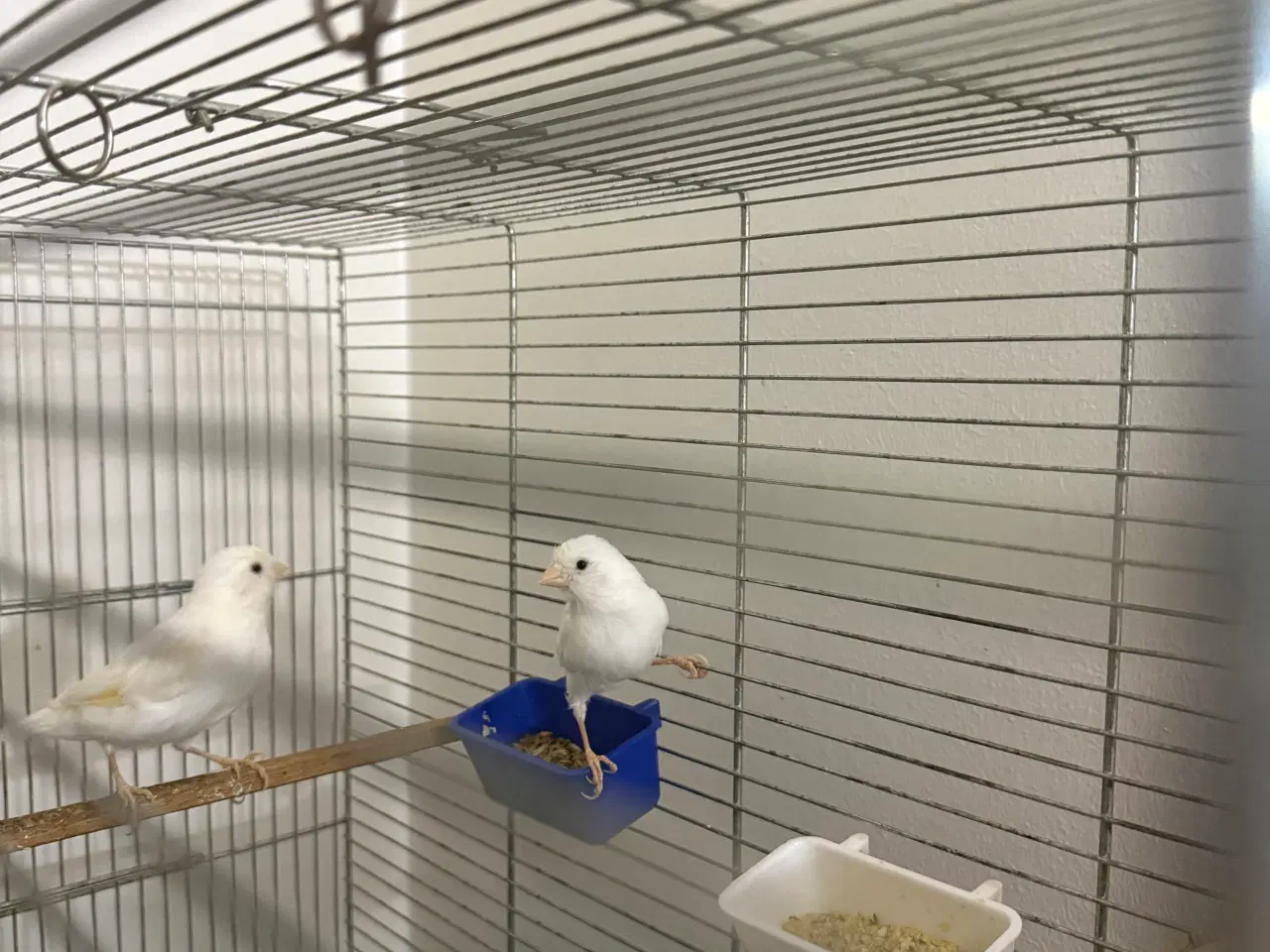 Billede 5 - Beskrivelse af varen