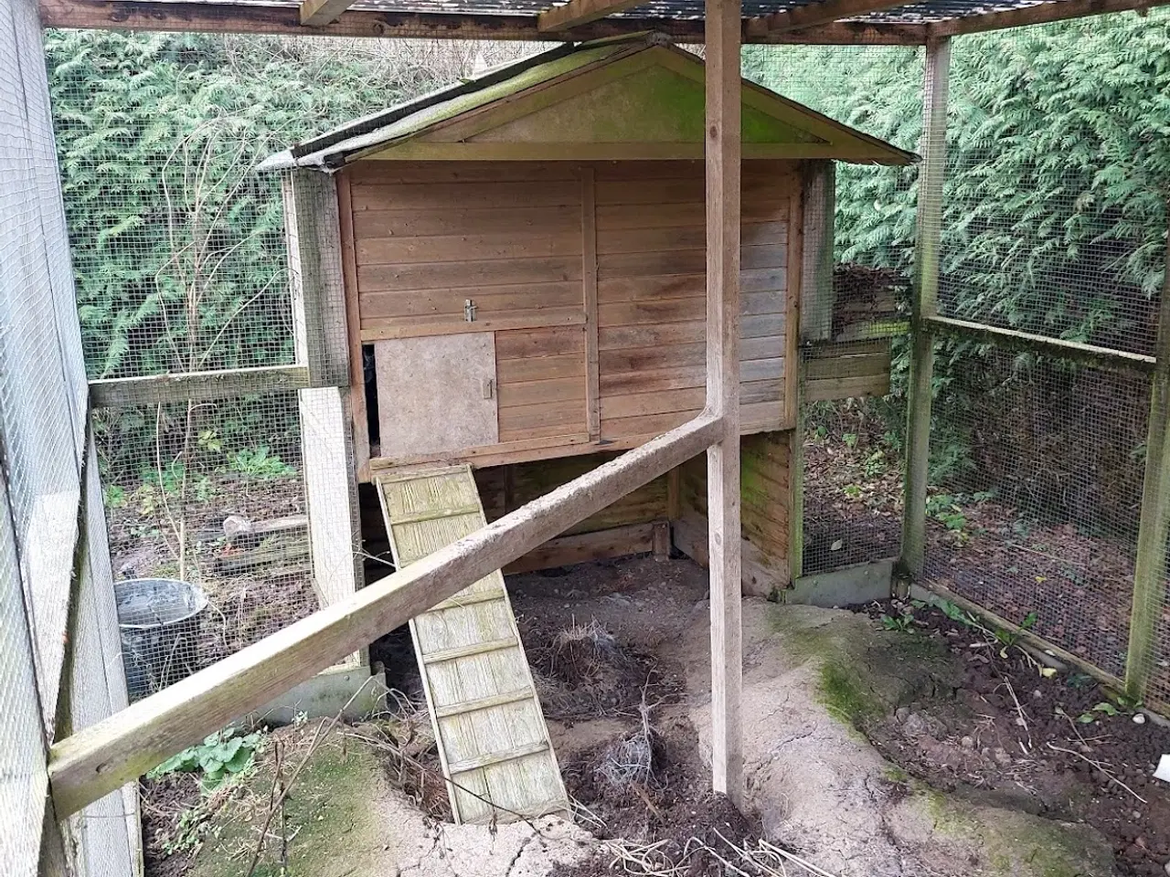 Billede 2 - Hønsegård med -hus.