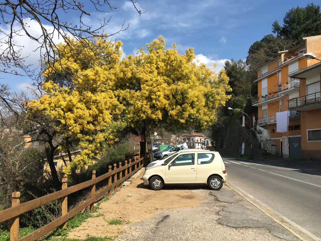 Billede 4 - Italien, time share lejlighed i uge 10