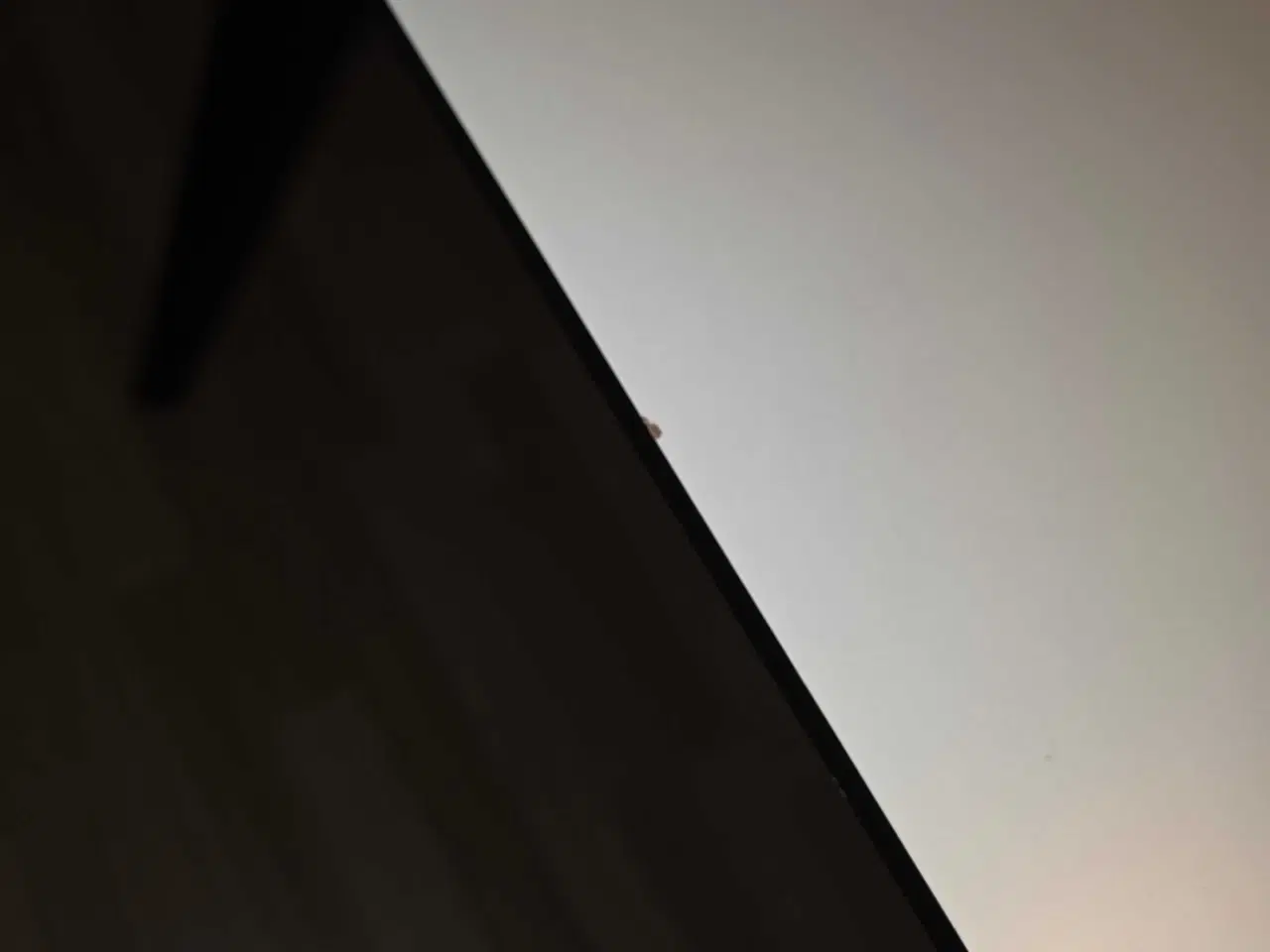 Billede 3 - Godt spisebord med god plads