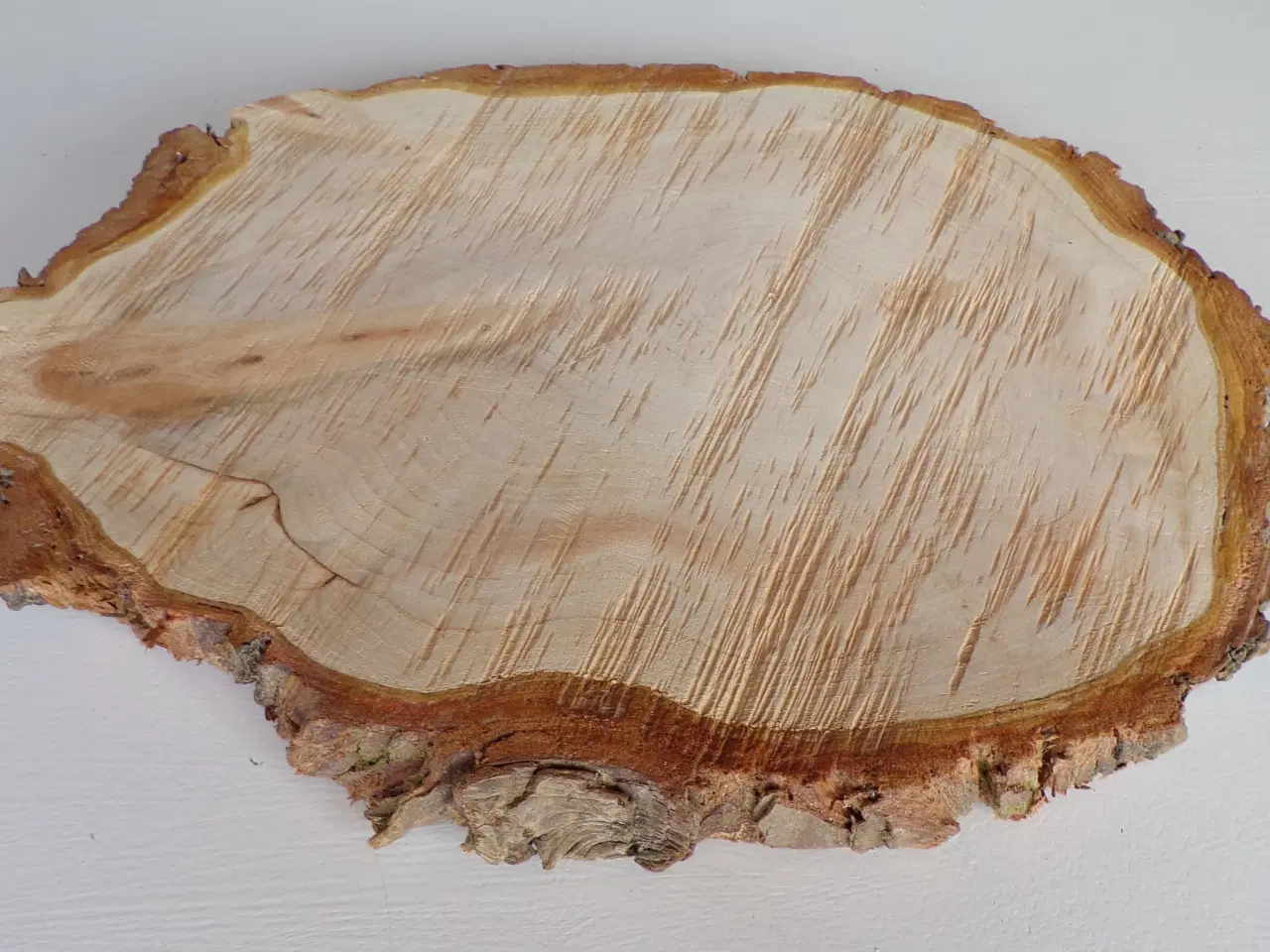 Billede 3 - NY Thuja Træskive med bark 33,5 cm lang