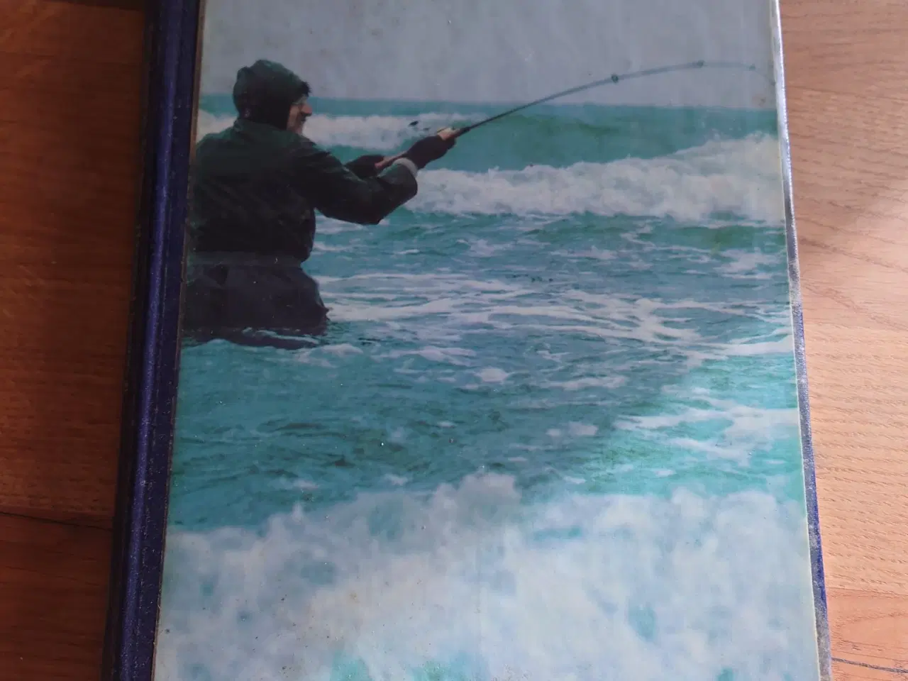 Billede 1 - HAVØRRED – HAVØRRED