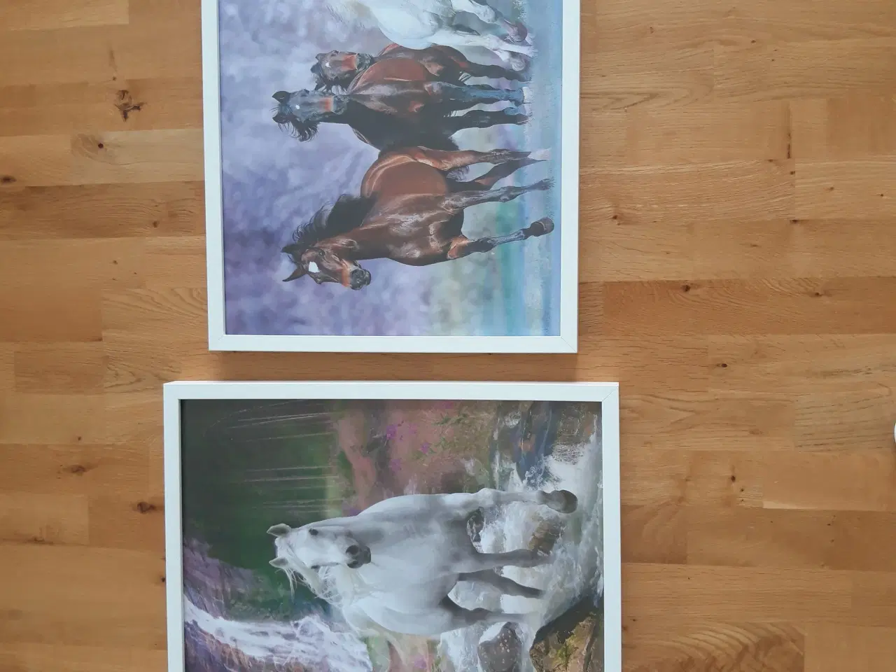 Billede 2 - 2 hestebilleder i rammer