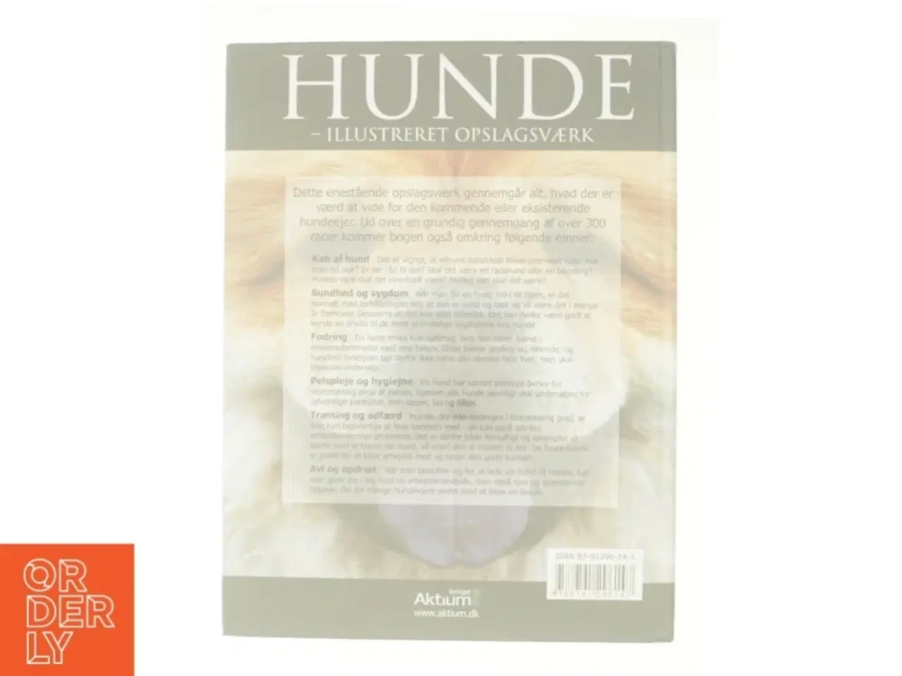 Billede 2 - Hunde - illustreret opslagsværk (Bog)