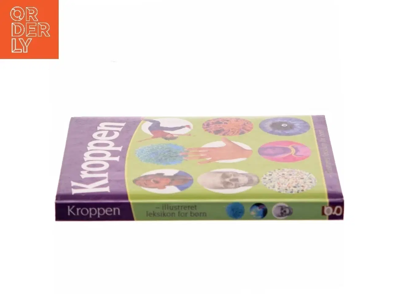 Billede 2 - Kroppen : illustreret leksikon for børn (Bog)