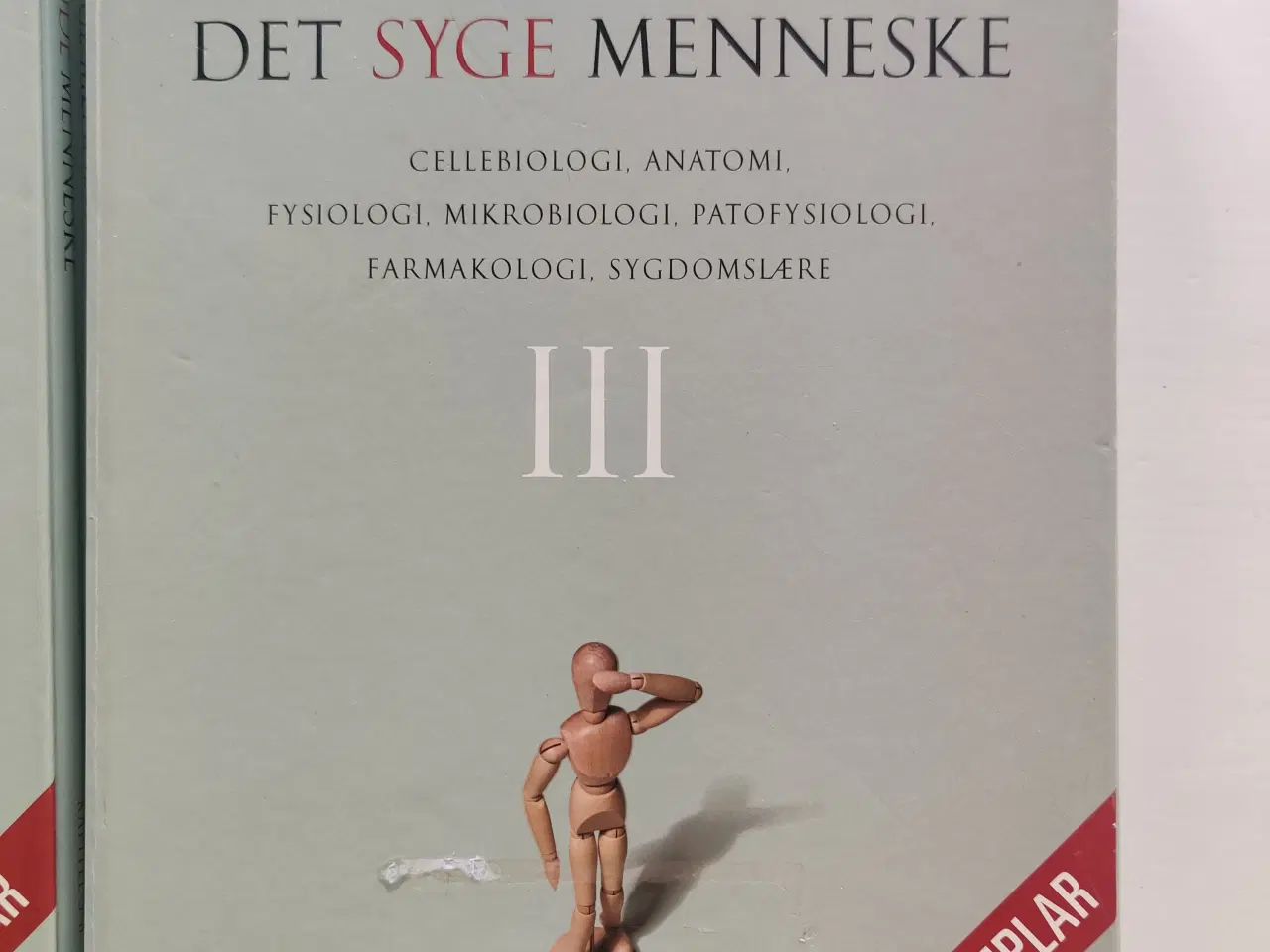 Billede 4 - Det sunde og det syge menneske - 1, 2, 3, 4, 5.