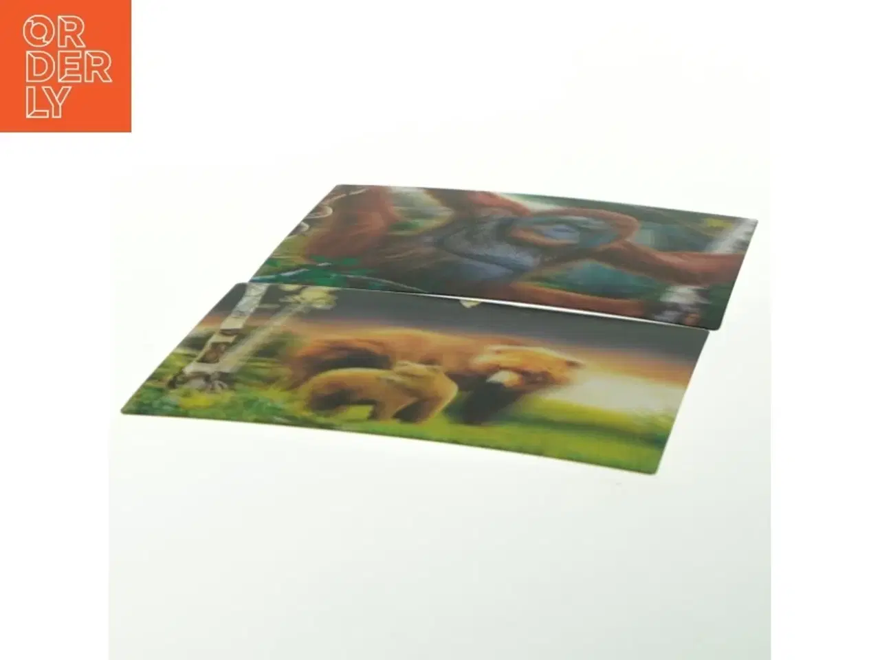 Billede 3 - Postkort med dyremotiver fra Wild Republic (str. 15x10 cm)