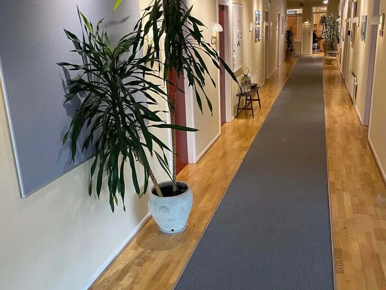 Billede 5 - Kontorhotel i fredensborg