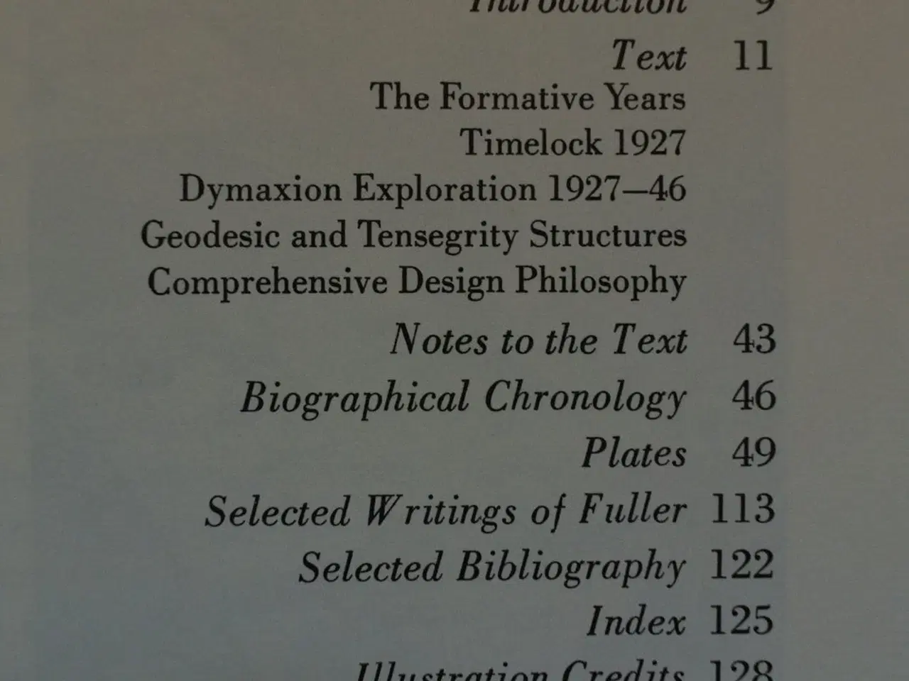 Billede 2 - r. buckminster fuller, by john mchale