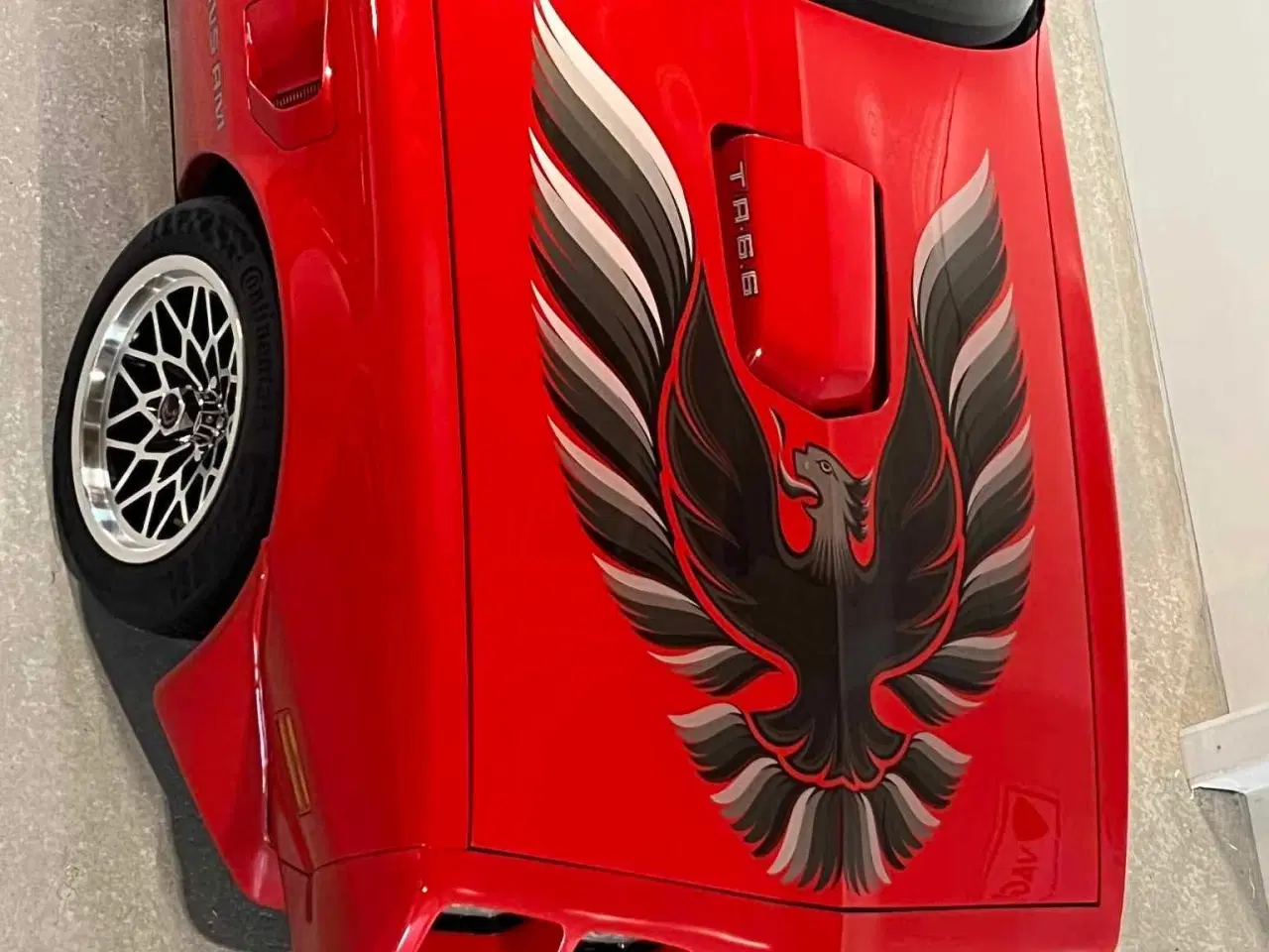 Billede 6 - Trans Am