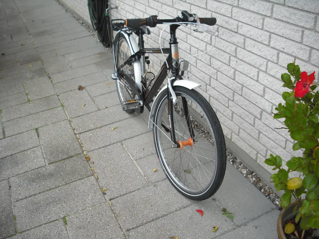 Billede 3 - Flot 24``  Everton Drengecykel.