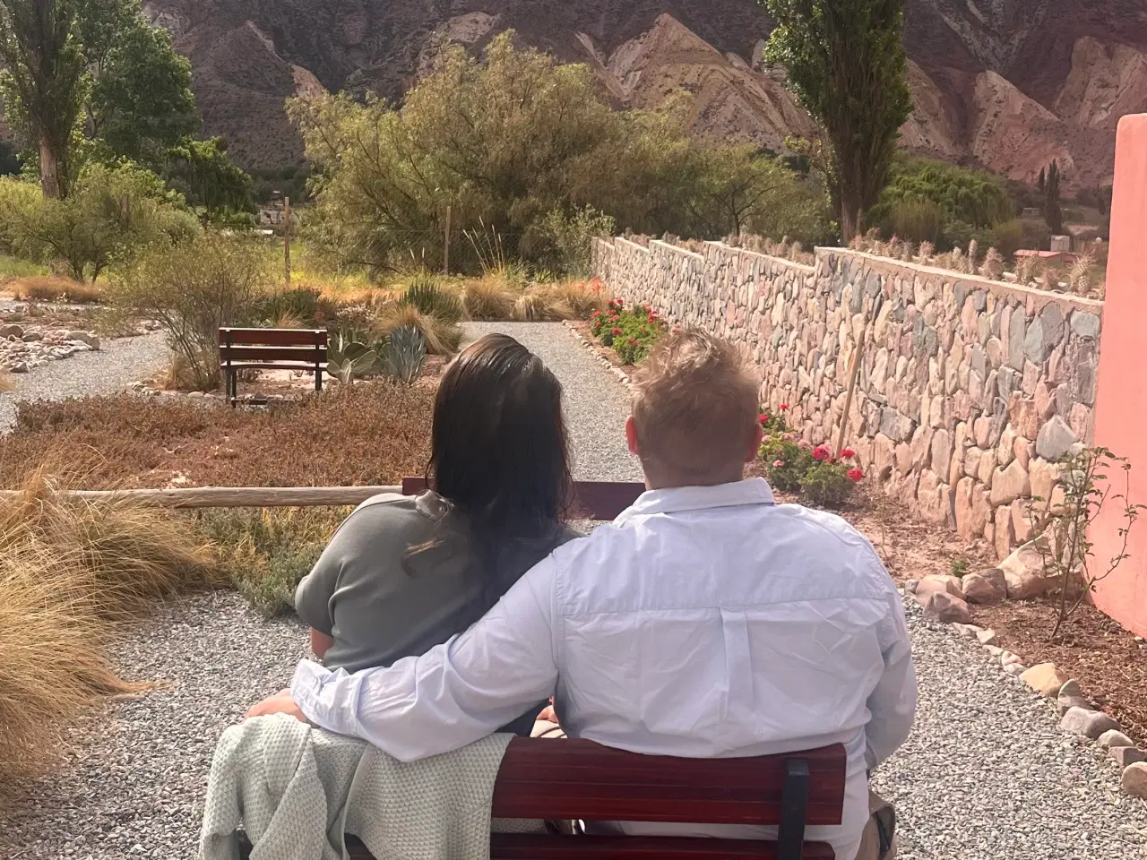 Billede 3 - Looking for a new family member