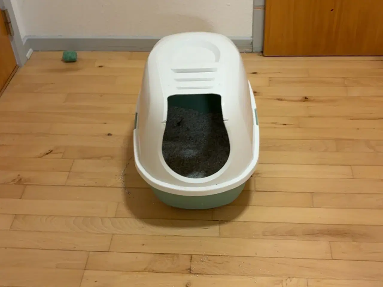 Billede 8 - Simba og Puma søger deres ny kærligste hjem 