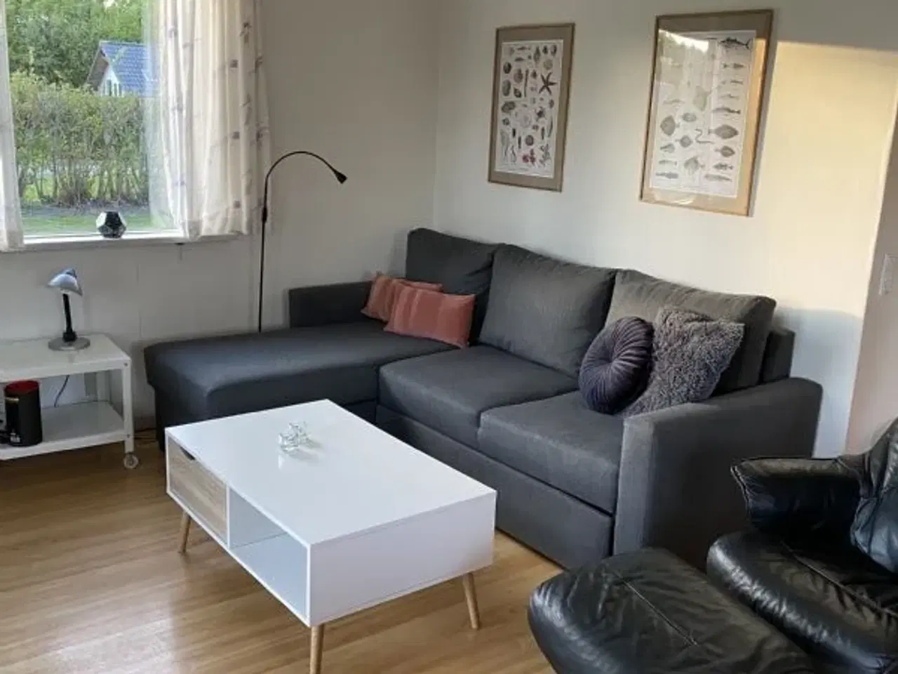 Billede 2 - Familie sommerhus - lyst og venligt. Skovmose