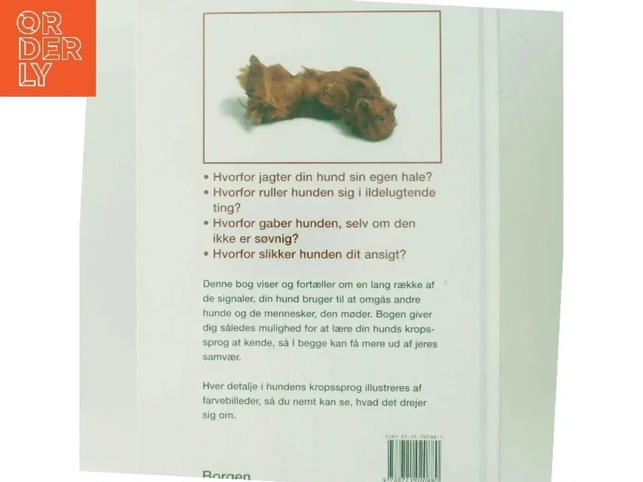 Billede 3 - Hvad tænker min hund? : sådan forstår du din hund af Gwen Bailey (Bog)