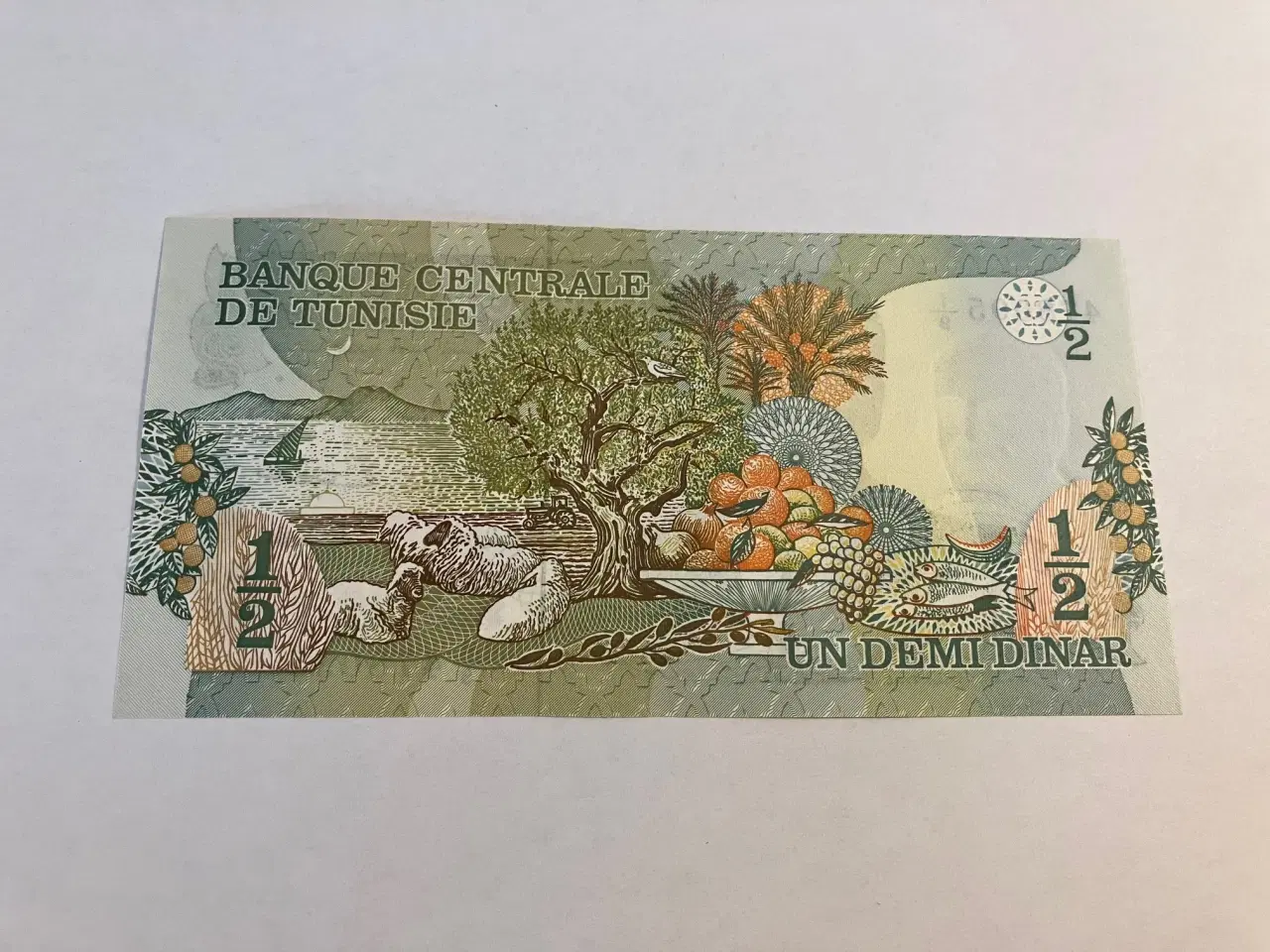 Billede 2 - 1/2 Dinar Tunisia