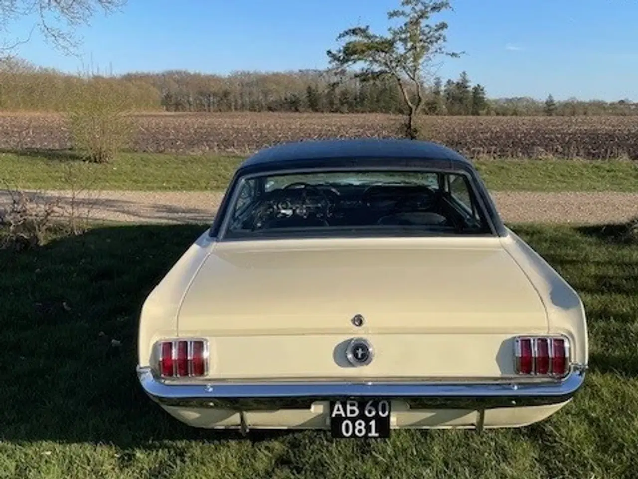 Billede 5 - Ford Mustang 1965