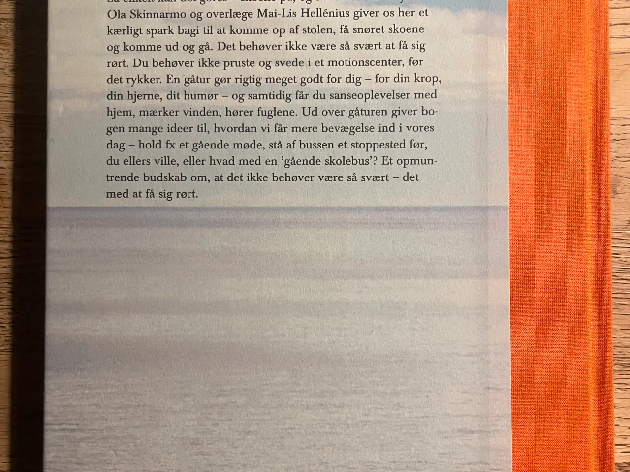 Billede 2 - Til fods, Mai-Lis Hellénius og Ola Skinnarmo