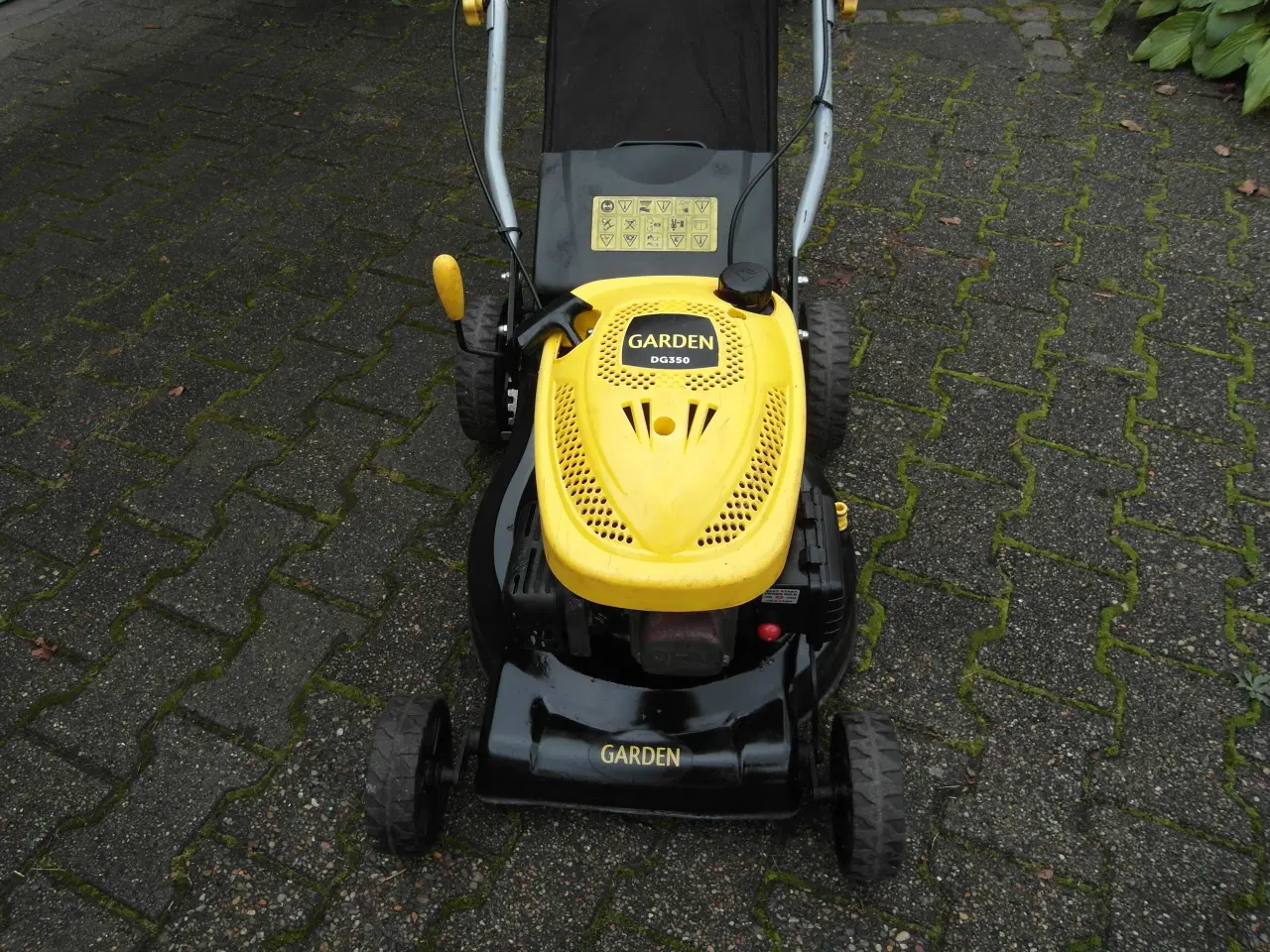 Billede 4 - Plæneklipper Garden DG 350