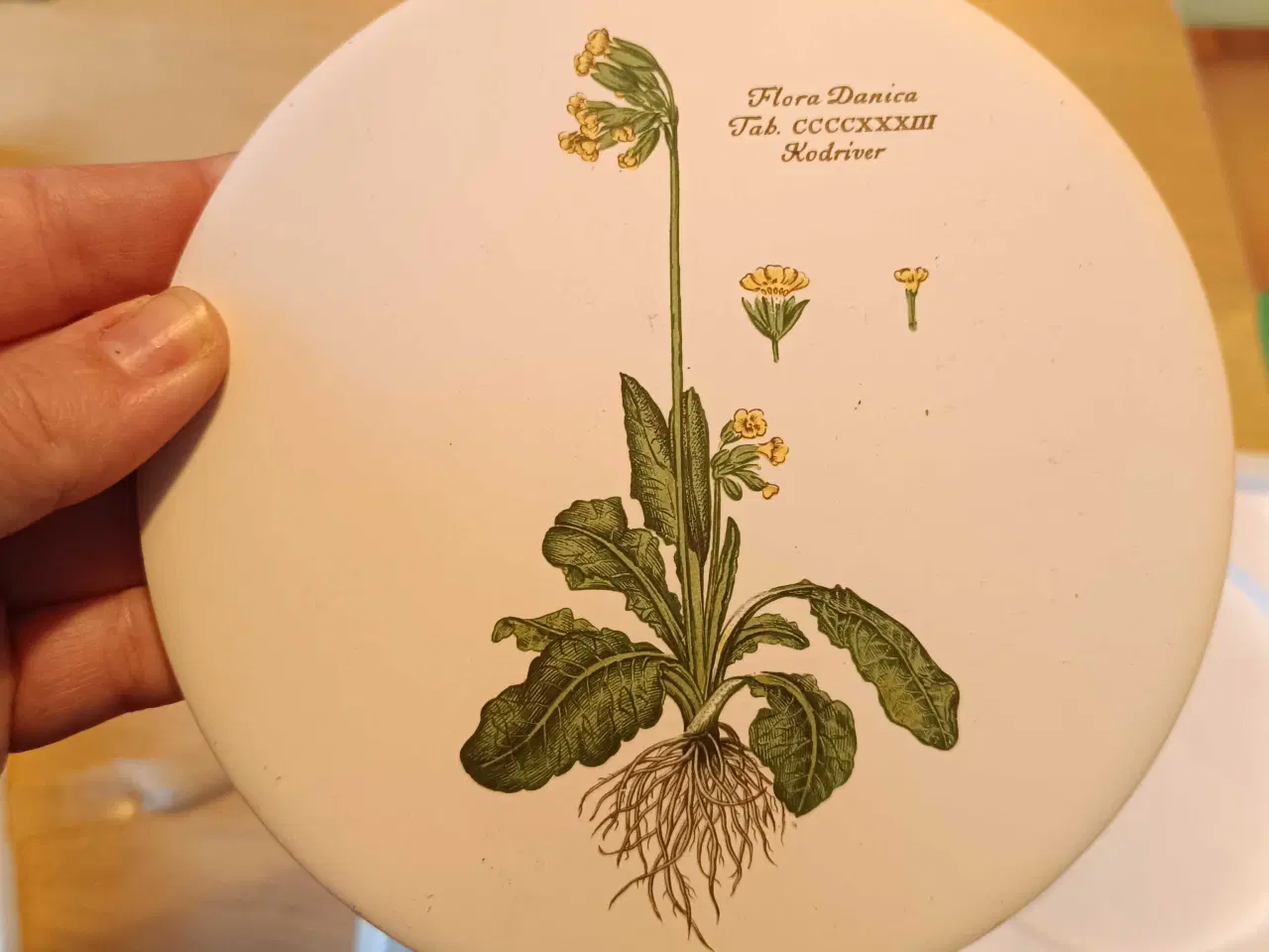 Billede 3 - Flora Danica Platte sæt