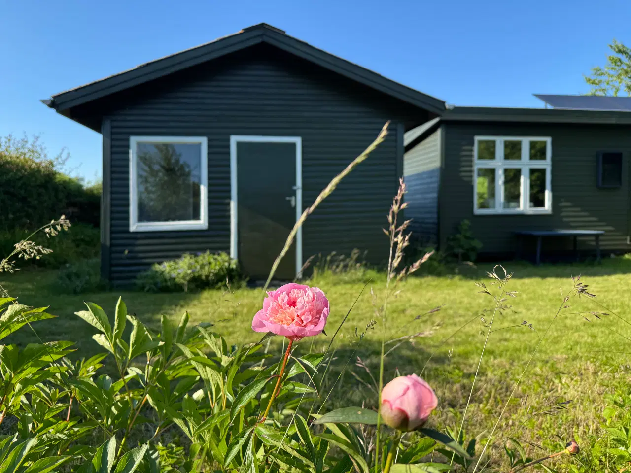 Billede 1 - Kolonihave uden bopælspligt