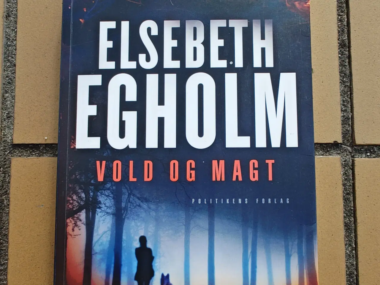 Billede 1 - Vold og Magt BOG af Elsebeth Egholm